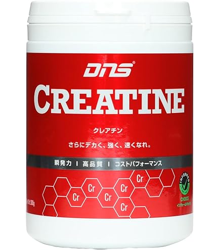 Amazon | DNS プロテイン ホエイ100 トロピカルマンゴー風味 315g 国内